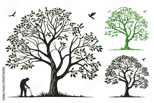 set of Elm tree vector silhouette illustration isolated on white background