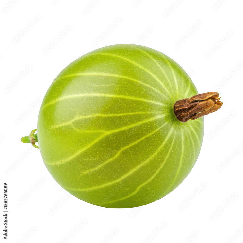 Single green gooseberry fruit with stem isolated on transparent background Single green gooseberry fruit with stem isolated on transparent background