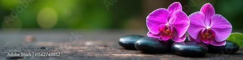 Smooth spa stones & vibrant orchids on dark wood , botanical, calm, beauty