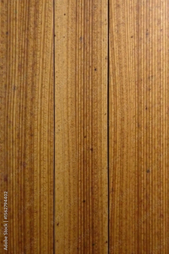 Obraz premium Close-up oak wood, smooth grain, subtle texture, nature, pattern