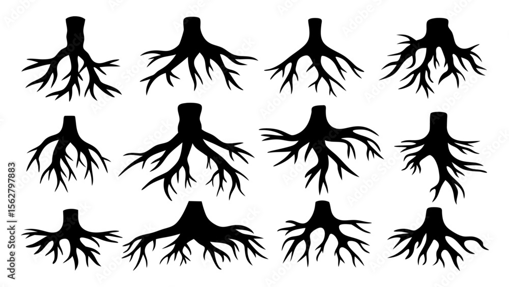 Fototapeta premium Set of tree roots silhouette