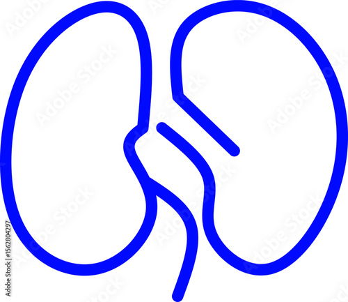 blue line icon kidney inside circle. Blue line icon with medical and healthcare inside circle