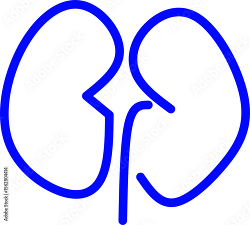 blue line icon kidney inside circle. Blue line icon with medical and healthcare inside circle