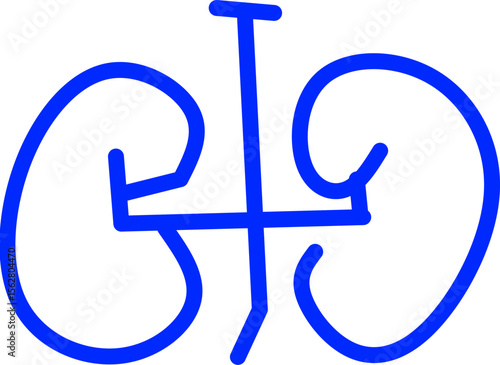 blue line icon kidney inside circle. Blue line icon with medical and healthcare inside circle
