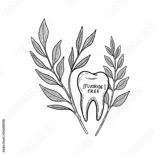 Tooth with text "Fluoride Free" surrounded by leaves and branches  