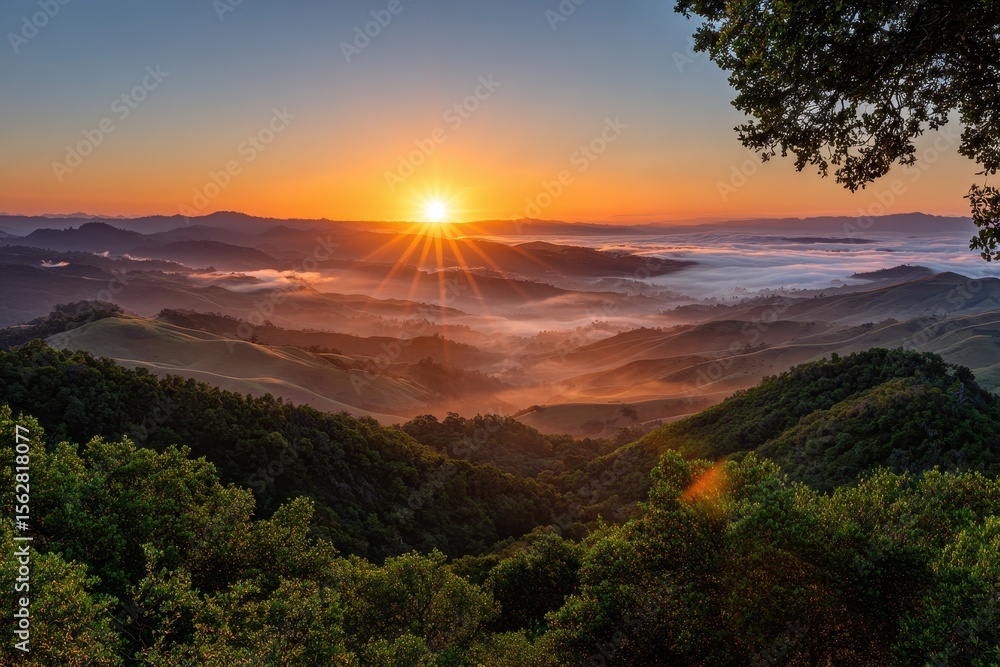 Scenic view of rolling hills covered in mist during a vibrant sunrise or sunset Scenic view of rolling hills covered in mist during a vibrant sunrise or sunset
