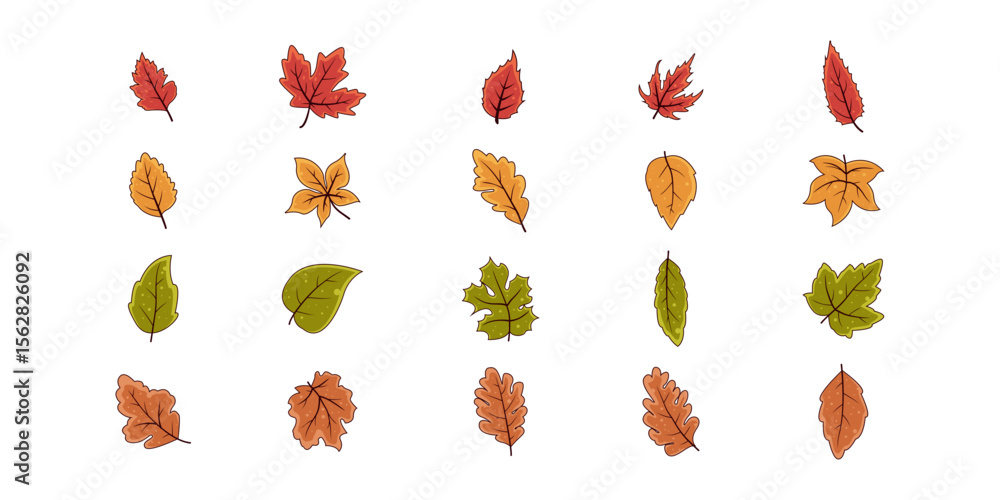 Obraz premium Autumn Leaves Illustration