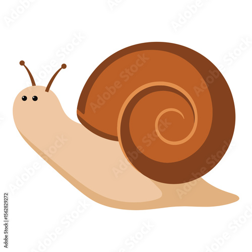 Snail Icon in Flat Design
