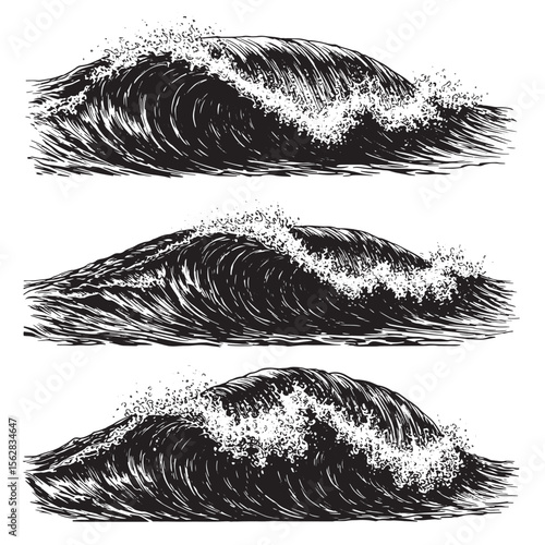 Engraved illustration set of three dramatic ocean waves with crashing foam