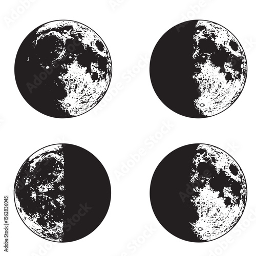 Illustration of moon phases in a black and white ornament set for educational purposes