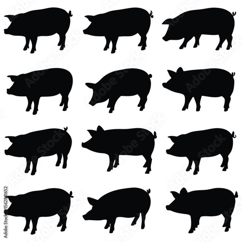 Silhouetted pigs are arranged neatly, perfect for farm-themed backgrounds and agricultural design elements.