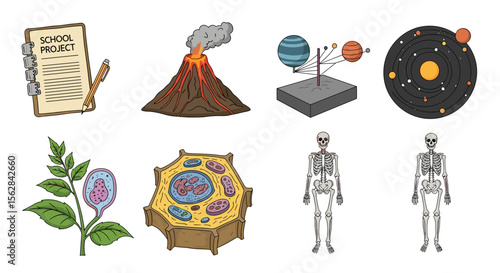 Illustration of science project elements including volcano model and human skeleton diagrams on white backdrop