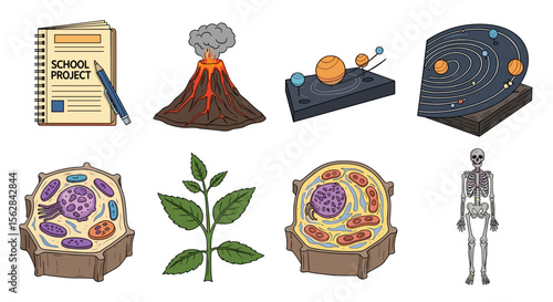 Illustration showing school project notebook volcano solar system cells plant and human skeleton model
