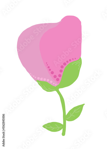 pink rose flower