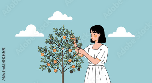 Woman Harvesting Fruit from a Fruit Tree on a Sunny Day