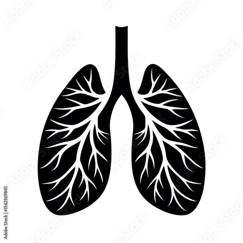 vector illustration of an  human lungs with branching