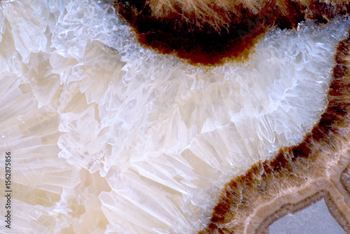 Septarian nodule 60 MYA calcite aragonite limestone closeup macro