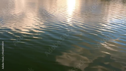 Water reflections golden hour