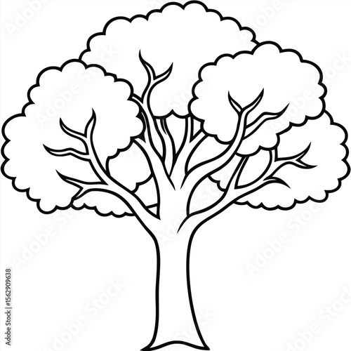 Fall tree outline coloring book page line art illustration 