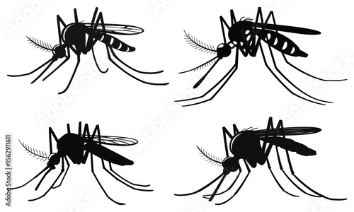 vector set of spider