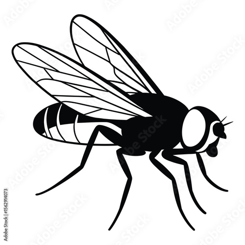 mosquito sucking blood