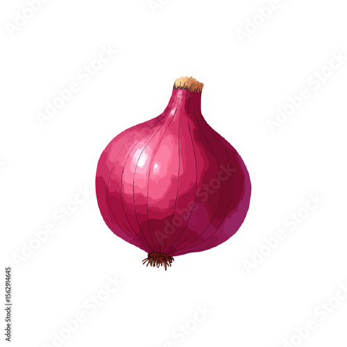 red onion isolated on white