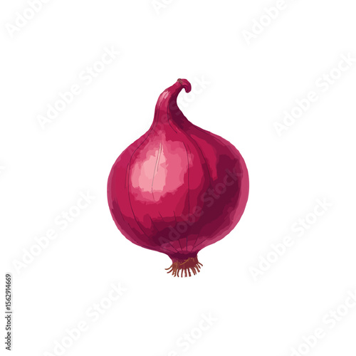 red onion isolated on white