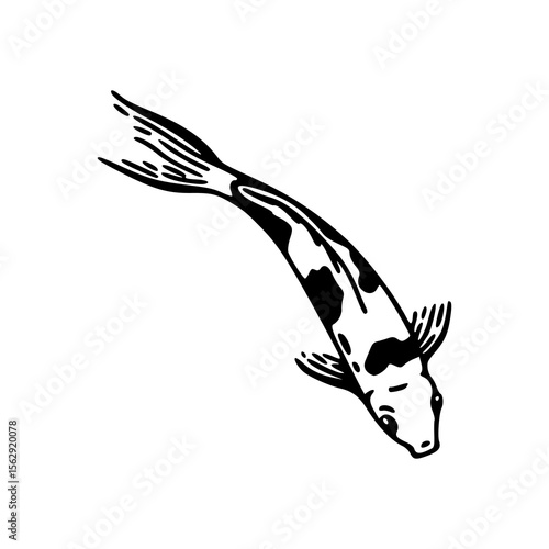 elegant koi fish line art