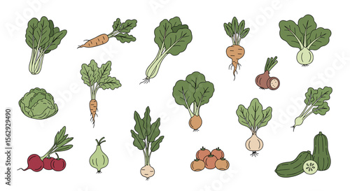 Cultivating freshness discover the beauty of organic garden produce