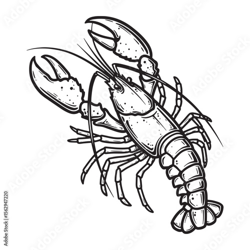 Detailed black and white illustration of a lobster with textured shading on white background