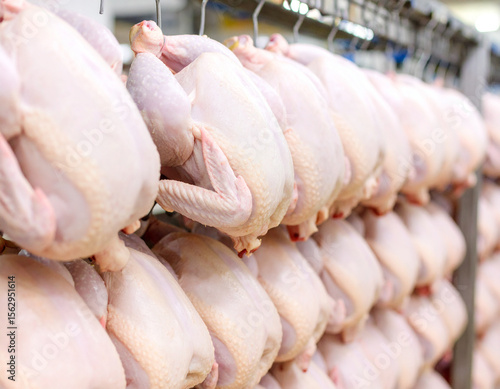 Rows of dressed chickens hang in a commercial poultry processing plant.