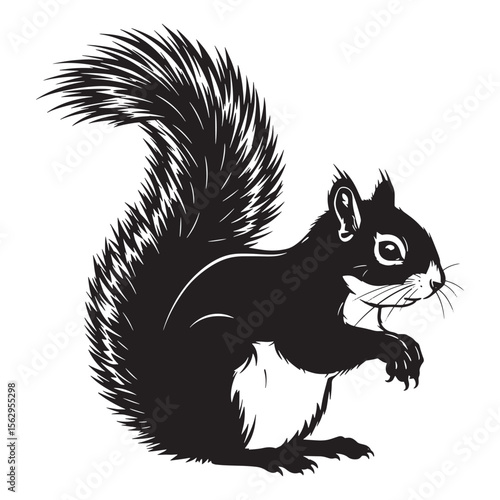 Wallpaper Mural Vector illustration of a black and white squirrel isolated on a clean white background Torontodigital.ca