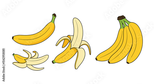 The Nutritional Power of Bananas A Deep Dive into the Benefits of This Fruit