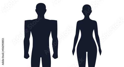 Differences Between Male and Female Bodies A Comprehensive Overview of Biological Traits