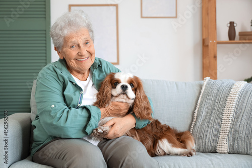 Senior woman with cute cavalier King Charles spaniel dog sitting on sofa at home