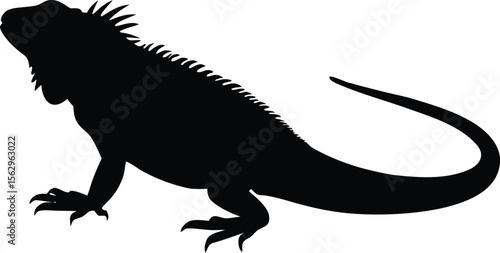 iguana  black silhouette vector,iguana  icon