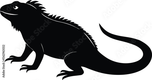 iguana  black silhouette vector,iguana  icon
