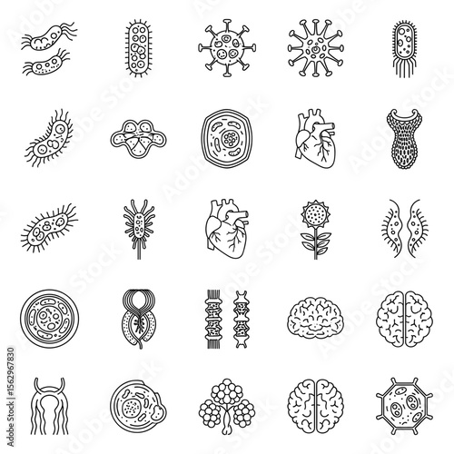 Microscopic World Exploring Cells, Bacteria, Viruses, and Organs Illustrations