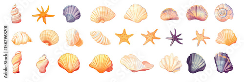 Cartoon colorful seashells and starfish collection ocean marine shellfish mollusk tropical beach flat vector set isolated on white background illustration