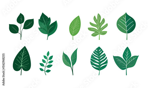 Set of ten different individual green leaf icons with various shapes and vein patterns isolated on white background flat minimalist vector illustration for botanical and nature design concepts