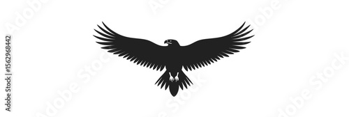 Silhouette of eagle with wings fully outstretched flying soaring black bird isolated on white background minimalistic vector illustration of majestic raptor in flat design style
