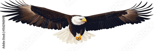 Majestic bald eagle soaring with outstretched wings detailed feathers white head yellow beak isolated vector illustration wildlife bird of prey