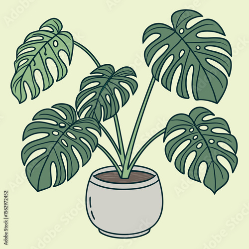 Beautiful Indoor Monstera Plant with Large Green Leaves in a White Pot on a Pale Yellow Background