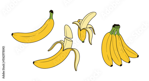 The Health Benefits of Eating Bananas and How They Can Improve Your Daily Life