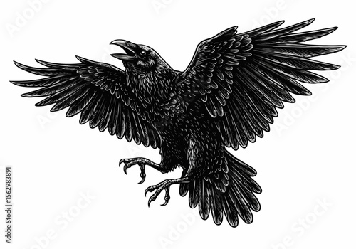 Detailed illustration of a black raven with outstretched wings and open beak