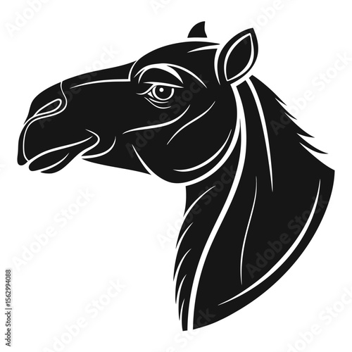 Silhouetted Grace Profile of a Desert Camel