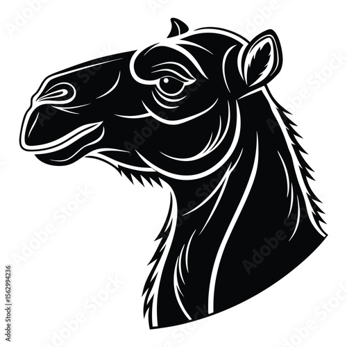 Desert Majesty The Camel Head Silhouette