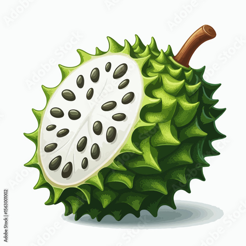 Digitally rendered, detailed illustration of a halved exotic fruit, displaying its spiky exterior and creamy interior. The image is brightly colored and is set against a plain white background.