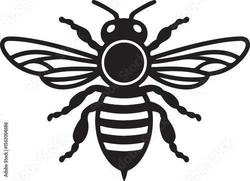 Black bee with striped abdomen and patterned wings