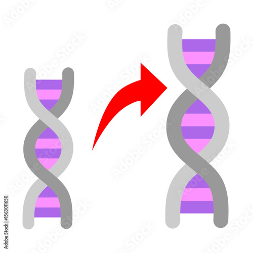 DNA Replication Vector Flat Icon Design